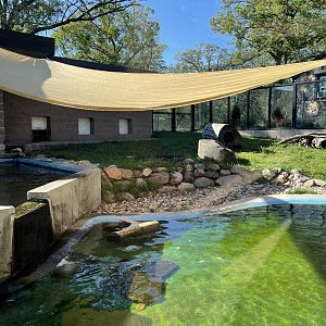 8/29/2022 - River Otter Habitat