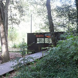 Aquatic Birds Aviary