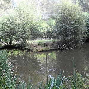 Aquatic Birds Aviary