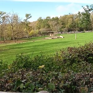 European red Deer Enclosure
