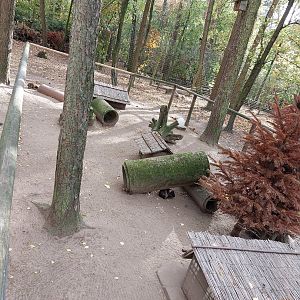 Guinea pig exhibit #2