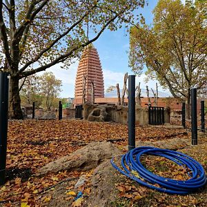 The new Rhino Pagoda under construction