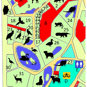 South American Zone - 2022 edition