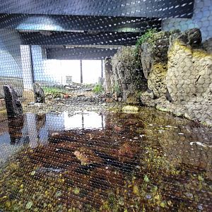 New England Aquarium - Shorebirds, mesh fencing