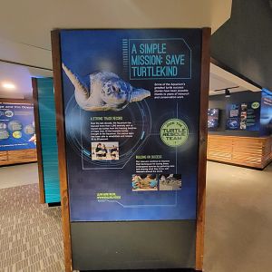 New England Aquarium - Save turtlekind