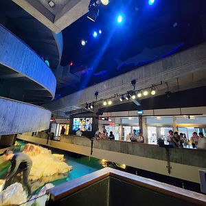 New England Aquarium - Entrance/exit doors