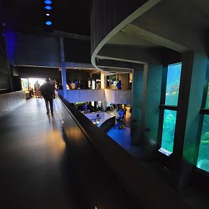 New England Aquarium - Center tank, paths around it