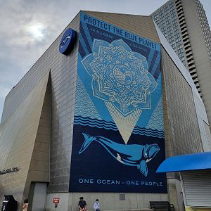 New England Aquarium - Mural on the side of Simons Theatre