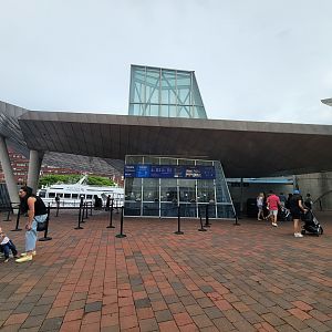 New England Aquarium - Ticket booth, with harbor seal exhibit behind it