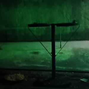 Inside the walkthrough Egyptian Fruit Bat Enclosure