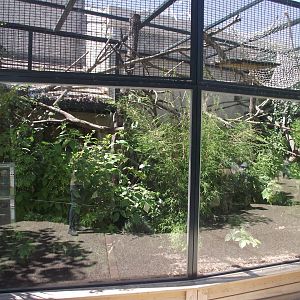 Saki and Neotropical Turtle outdoor enclosure - Zooparc de Beauval - 08/2022
