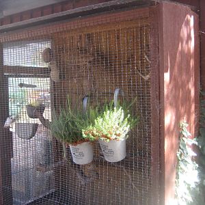 Fun-Park - Canary cage