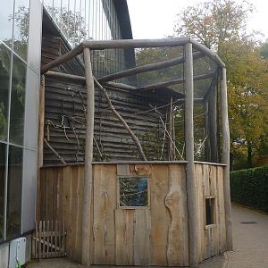New outside aviary for Lyle's flying foxes