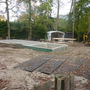 Construction works near clouded leopards 1