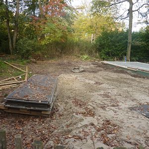 Construcion works near clouded leopards 2