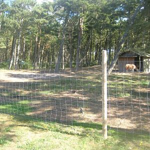 Fun-Park - Llama exhibit