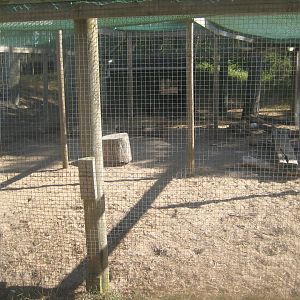 Fun-Park - Rabbit exhibit