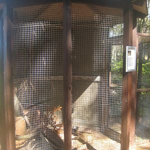 Fun-Park - Degu exhibit