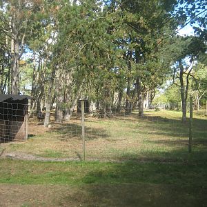 Fun-Park - Emu exhibit