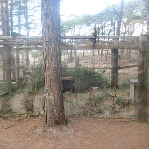 Fun-Park - Fox exhibit