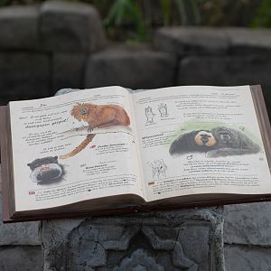 Sign for new entrance