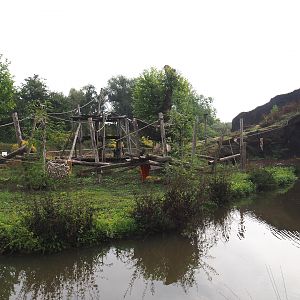 Western lowland gorilla and Black crested mangabey island, seen from lemur island, 2022-09-15