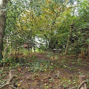 View on lemur island, 2022-09-15