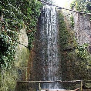 Lemur island waterfall, 2022-09-15