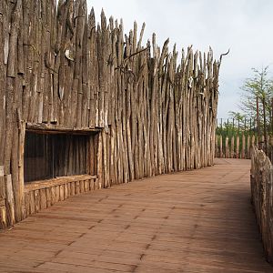 Upper viewing area for African lion and spotted hyena exhibits, 2022-09-15