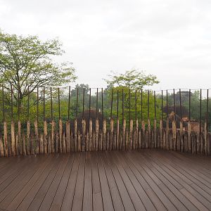 Upper viewing area for African lion and spotted hyena exhibits, 2022-09-15