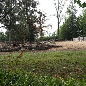 Mixed savanna paddock, 2022-09-15