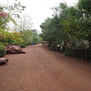 Walkway between mixed savanna paddock and cheetah exhibit, 2022-09-15
