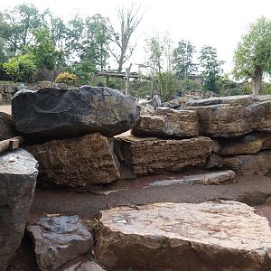 Southern white rhinoceros and Northern warthog viewing area, 2022-09-15