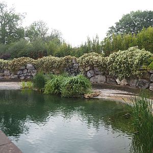 Hippopotamus exhibit, 2022-09-15
