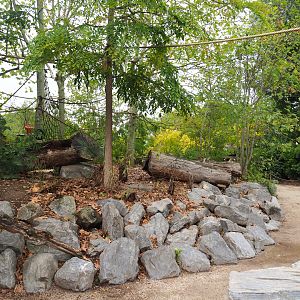 View on Bolivian squirrel monkey walk-through island, 2022-09-15