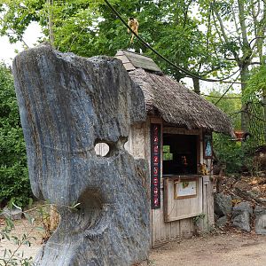Bolivian squirrel monkey shelter and strange rock, 2022-09-15
