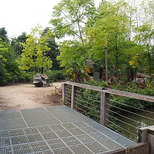 Bolivian squirrel monkey walk-through island, 2022-09-15