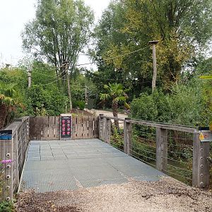 Black-and-gold howler monkey walk-through island, 2022-09-15