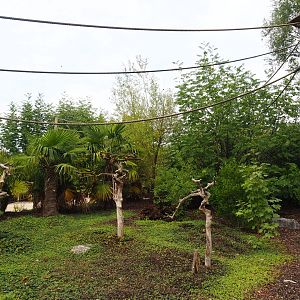 View on Black-and-gold howler monkey walk-through island, 2022-09-15