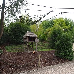 View on Black-and-gold howler monkey walk-through island, 2022-09-15