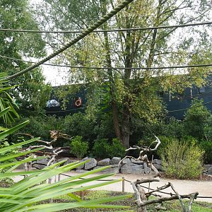 View on Black-and-gold howler monkey walk-through island, 2022-09-15