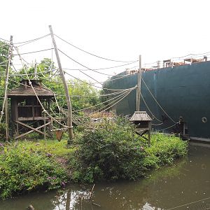 Siamang island, 2022-09-15