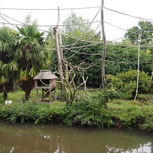 Siamang island, 2022-09-15