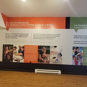 Ecomuseum Zoo - Wall info inside entrance building