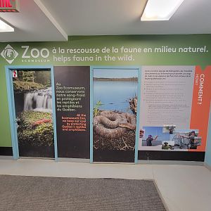 Ecomuseum Zoo - Downstairs, herp/fish area