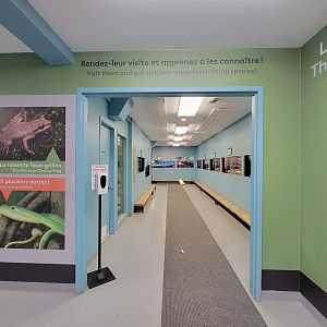 Ecomuseum Zoo - Entrance to herp/fish area