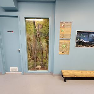 Ecomuseum Zoo - Empty tall exhibit