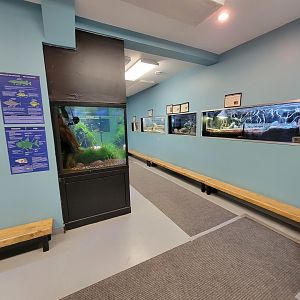 Ecomuseum Zoo - Corner, the room is a reverse U shape