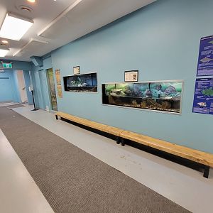 Ecomuseum Zoo - Looking back at turtles