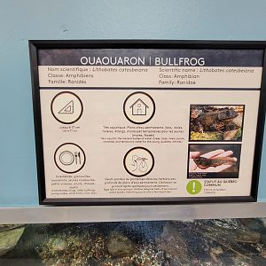 Ecomuseum Zoo - Example of great signage